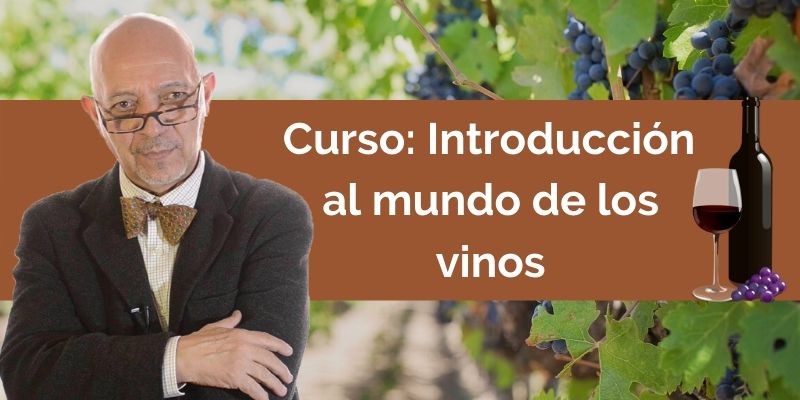 Curso de vinos por Don Ricardo Domínguez: