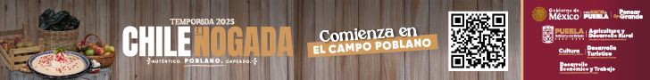Publicidad estilo banner horizontal