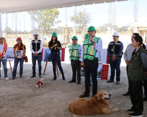 Seres sintientes requieren cuidado, no compras impulsivas: Gobierno de Puebla