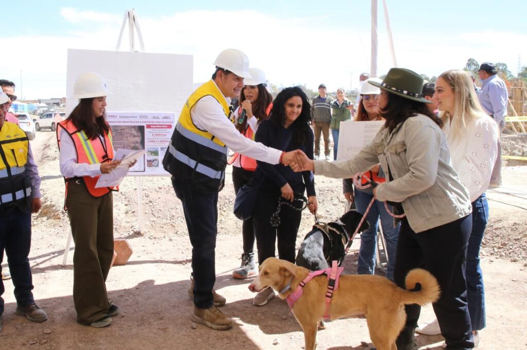 CON ENFOQUE HUMANISTA, CÉLULA DE BIENESTAR ANIMAL REGISTRA AVANCE DEL 38%