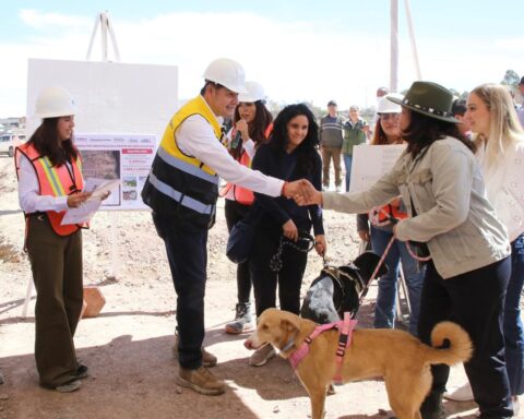 CON ENFOQUE HUMANISTA, CÉLULA DE BIENESTAR ANIMAL REGISTRA AVANCE DEL 38%