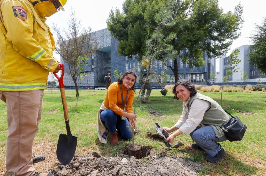 GOBIERNO ESTATAL Y AMBIENTALISTAS FORTALECEN BOSQUE URBANO DEL CIS