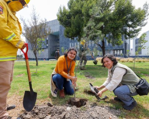 GOBIERNO ESTATAL Y AMBIENTALISTAS FORTALECEN BOSQUE URBANO DEL CIS