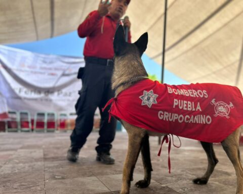 ANUNCIAN FERIA DE LA PAZ Y CAPACITACIÓN EN LA SIERRA NORTE