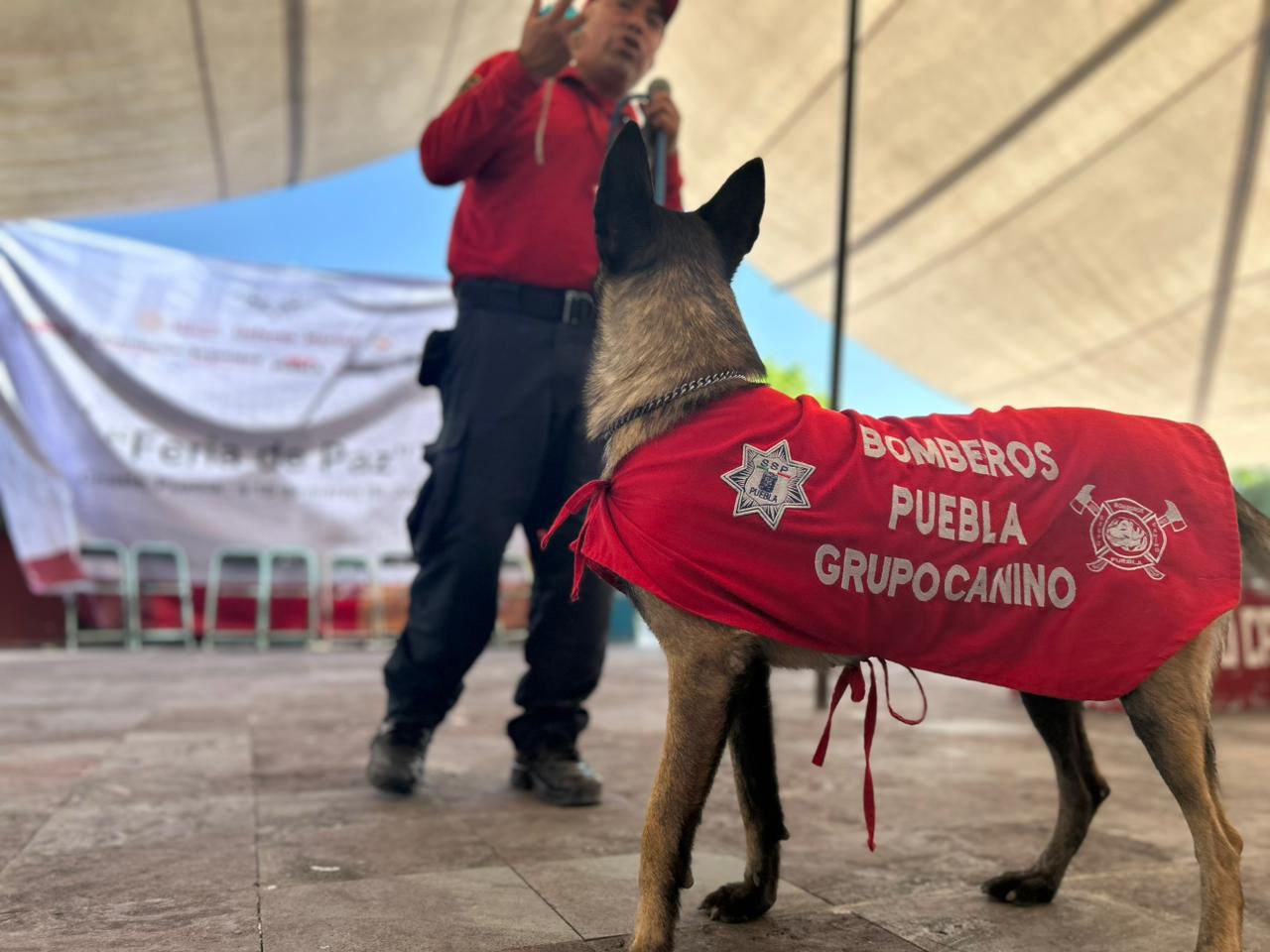 ANUNCIAN FERIA DE LA PAZ Y CAPACITACIÓN EN LA SIERRA NORTE