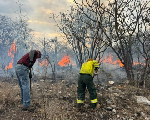 GOBIERNO DEL ESTADO CONTINÚA COMBATE DE INCENDIO EN LA MIXTECA