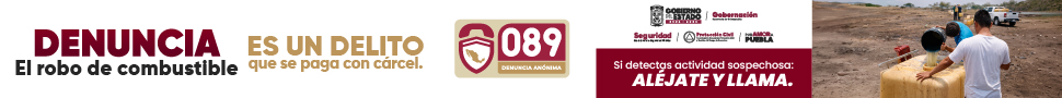 Banner SEGOB