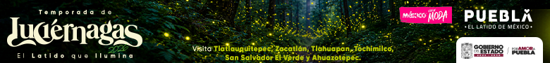 Banner Luciérnagas Puebla