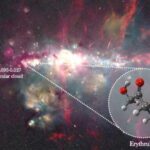 El Universo podría estar cocinando los ingredientes de la vida