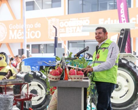 PARA FORTALECER COMUNIDADES, GOBIERNO ESTATAL INCENTIVA PRODUCCIÓN AGROPECUARIA Y REFORESTACIÓN